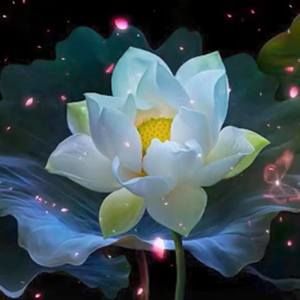 Meet your Posher, Hieu